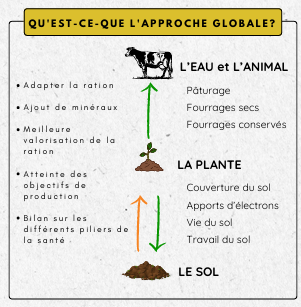 Fichier:Redox IUT 2.png