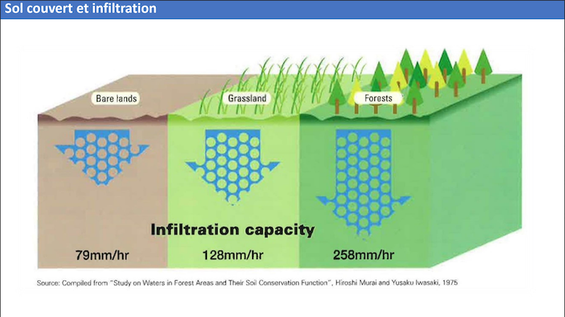 Fichier:Formation Permalab - illustrations (1).png