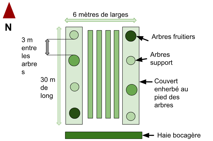 Fichier:Zhor Lebbar, Schéma 4 verger maraîcher.png