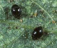 Fichier:Les infrastructures agroécologiques au service de l’agriculteur 3.jpg