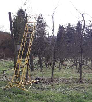 Fichier:Ferme de Edouard Gosselin 13.png