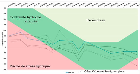 Fichier:Exemple d’évolution temporelle du statut hydrique pour une parcelle de Cabernet Sauvignon en 2020 (Groupe ICV).png
