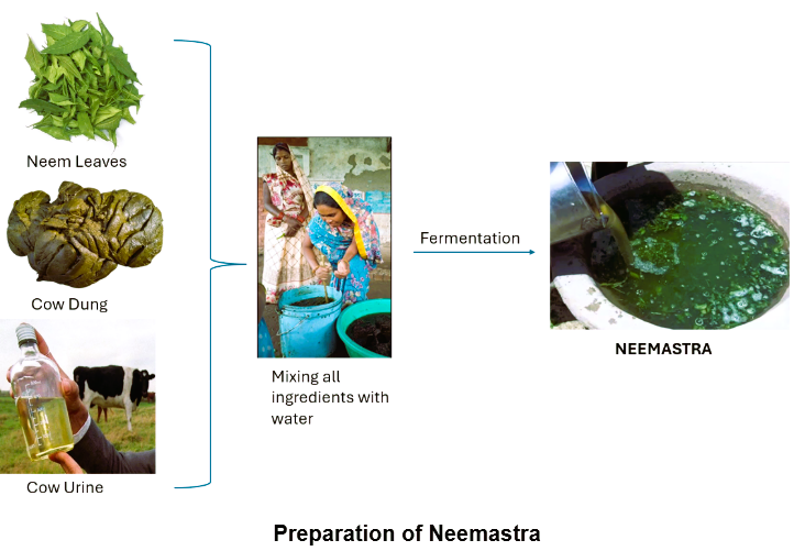 Fichier:Neemastra preparation.png