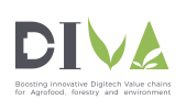 Fichier:Logo DIVA.png