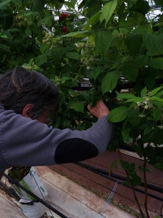 Fichier:Les infrastructures agroécologiques au service de l’agriculteur 8.jpg