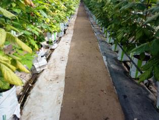 Fichier:Les infrastructures agroécologiques au service de l’agriculteur 16.jpg