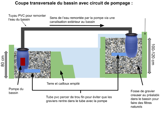 Fichier:Schéma coupe transversal du bassin avec pompage.png