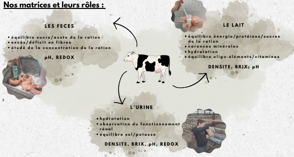 Fichier:Redox IUT 3.png