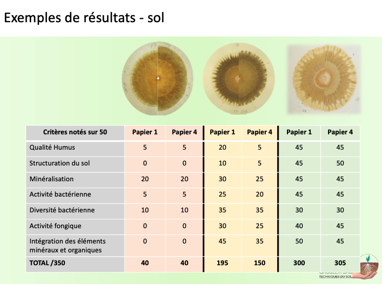 Fichier:Chromatographie Exemple sols.png