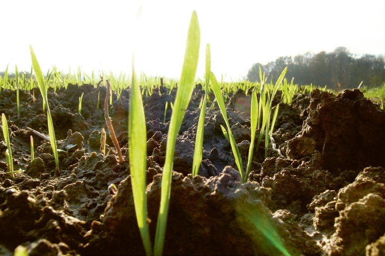Fichier:Impact de l’exploitation biologique des sols sur le climat 2.jpg