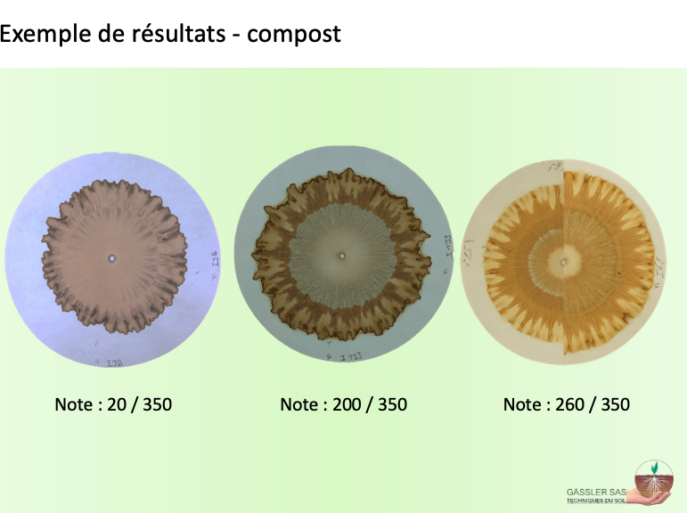 Fichier:Chromatographie Exemple composts1.png