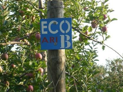 Fichier:Image ECO Ariane verger de pommiers r sistant la tavelure et conome en produits phytosanitaires.jpg