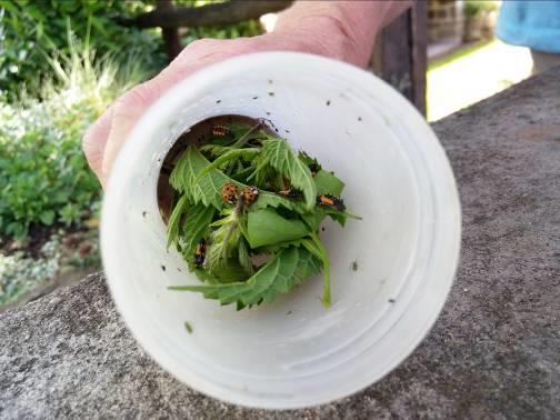 Fichier:Les infrastructures agroécologiques au service de l’agriculteur 12.jpg