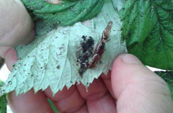 Fichier:Les infrastructures agroécologiques au service de l’agriculteur 6.jpg