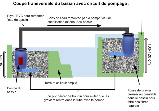 Fichier:Anouar Khales Slaoui schéma coupe transversal du bassin.png