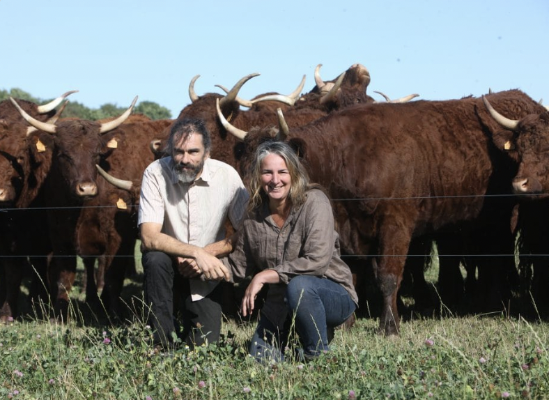 Fichier:Proot TechBio.png