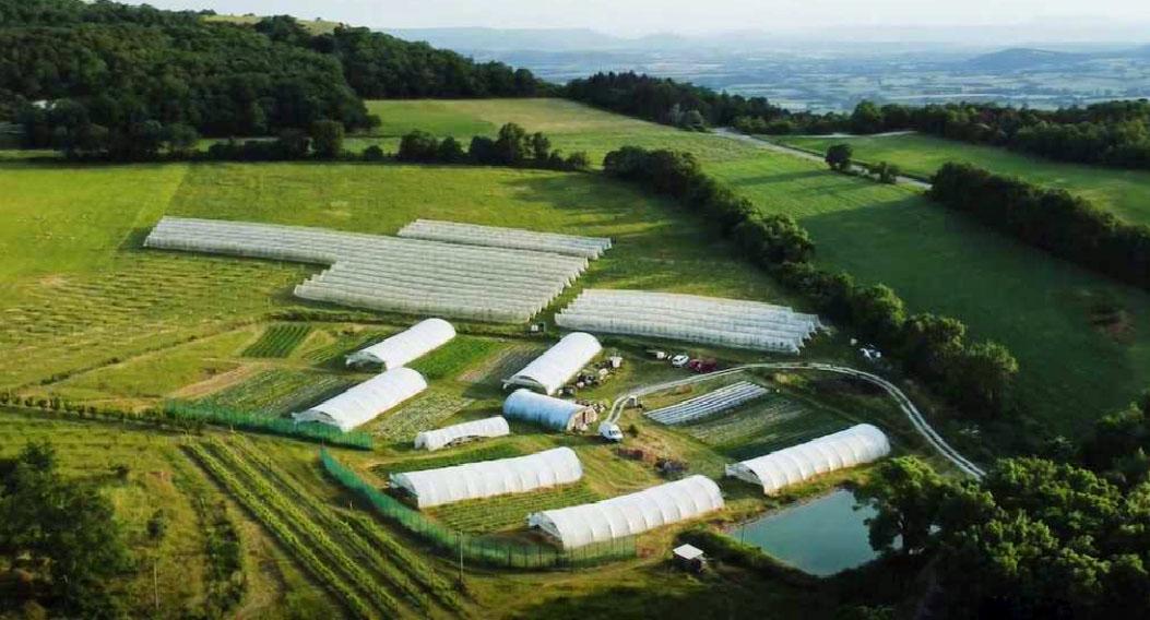 Ferme des Buis - vue drone.jpg