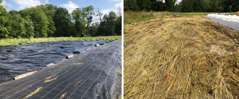 Fichier:Occultation à la ferme de la Mésangère.png