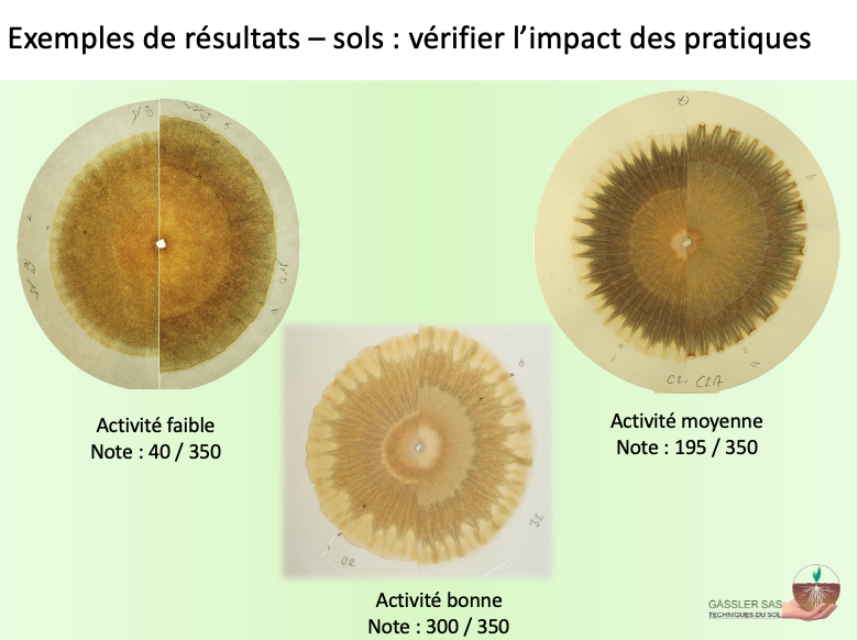 Fichier:Chromatographie Exemple sols1.png