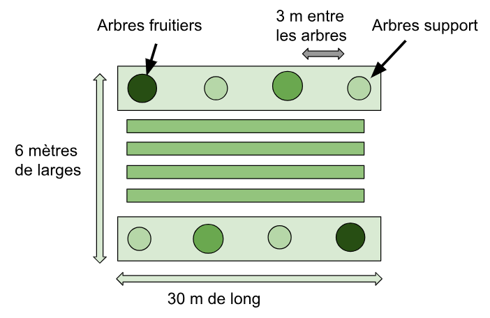 Fichier:Schéma 2 du verger maraicher .png