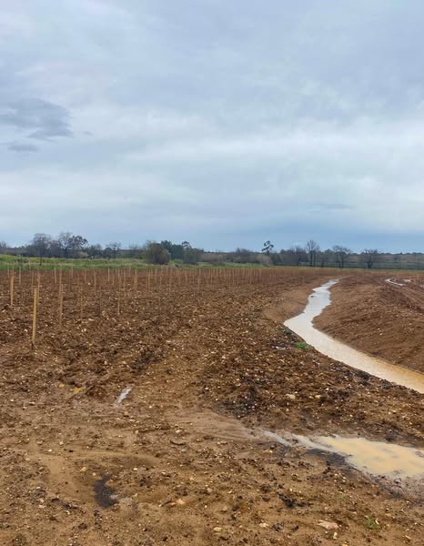 Fichier:Chateau de Rey - Illustration (20).jpg