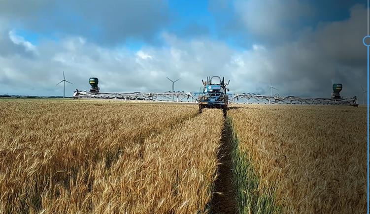 Fichier:Semis de couverts avant récolte des céréales 1.jpg