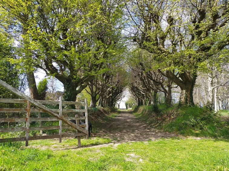 Fichier:Ferme Terre et Lune.jpg