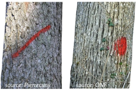 Fichier:Marque1 MSV.jpg