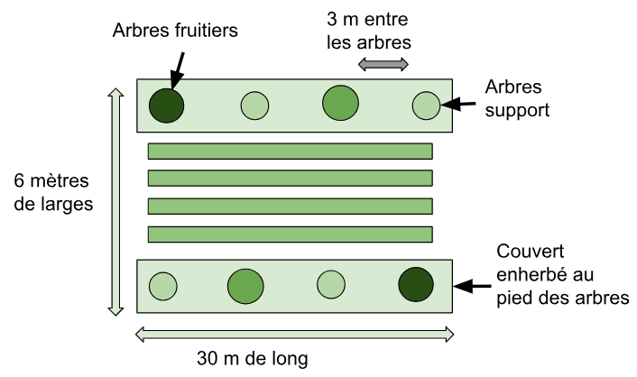 Fichier:Schéma 3 verger maraîcher.png