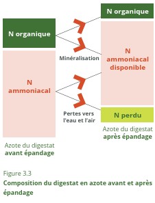 Composition du digestat en azote avant et après épandage