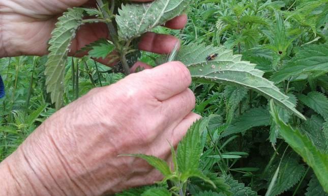 Fichier:Les infrastructures agroécologiques au service de l’agriculteur 11.jpg