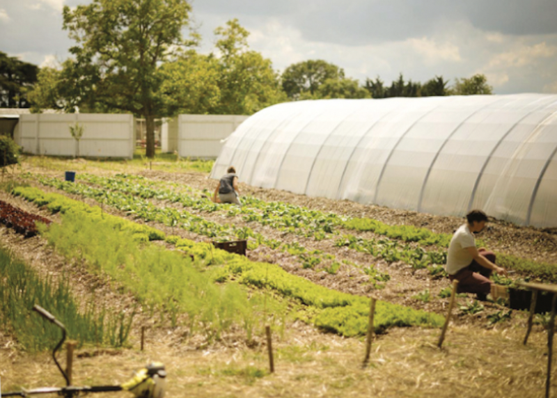 Fichier:PC TechBio.png