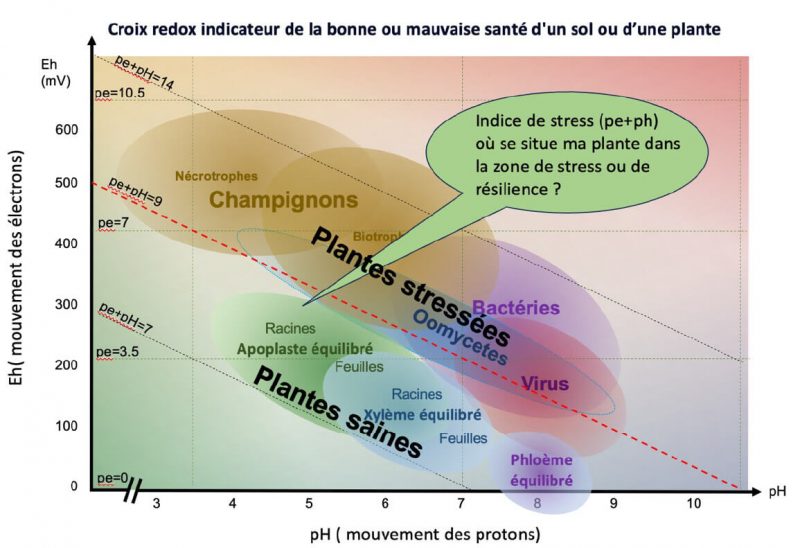 Fichier:Nutrsicope redox.jpg