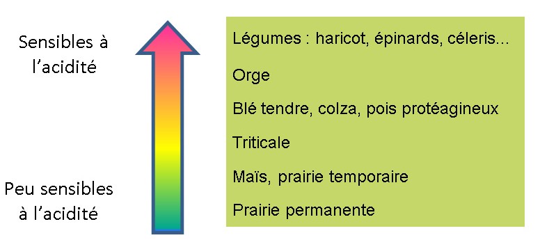 Fichier:Tolérance toxicité aluminique.jpg