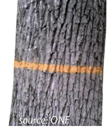 Fichier:Marque2 MSV.png