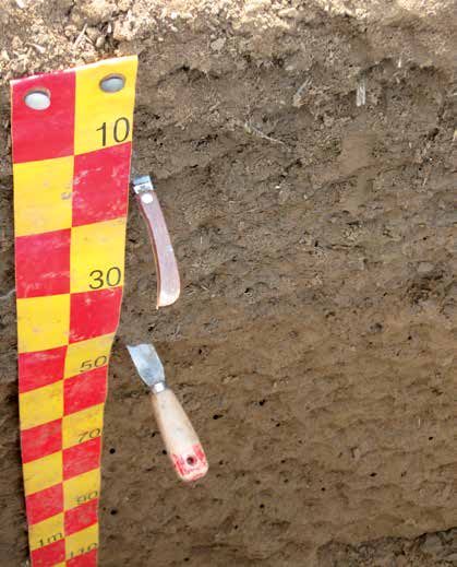 Fichier:Principes de la fertilité des sols 28.jpg