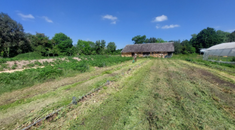 Fichier:Semis d'un couvert.png