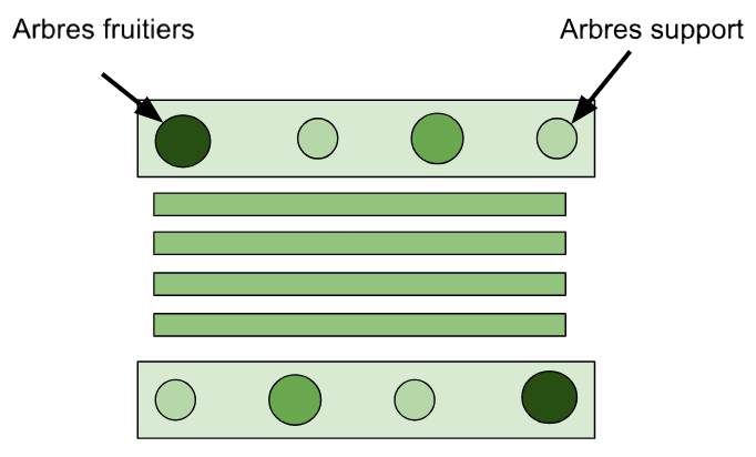 Fichier:Shéma verger maraîcher.png
