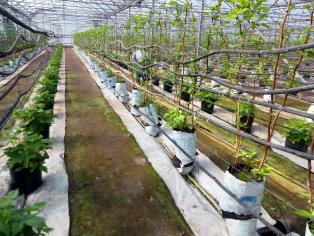 Fichier:Les infrastructures agroécologiques au service de l’agriculteur 20.jpg