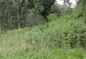 Fichier:Les infrastructures agroécologiques au service de l’agriculteur 2.jpg