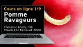 Vignette pour la version du 13 décembre 2024 à 16:07