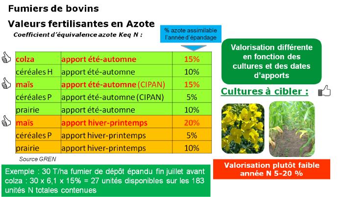 Valeurs fertilisantes en azote - Fumier de bovin.png