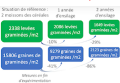 Schéma de l'évolution du stock grainié et des levées d'adventices