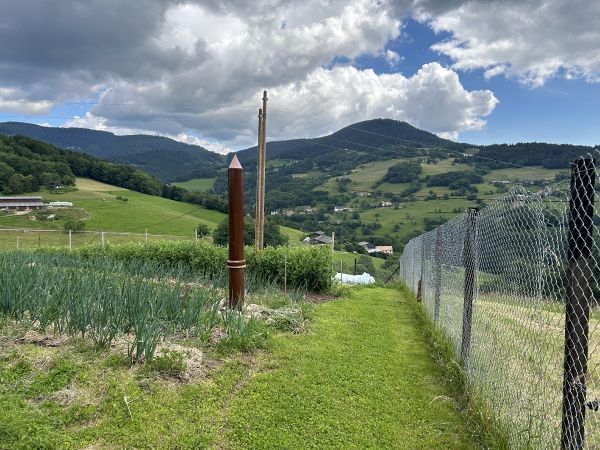 Tour ronde électroculture