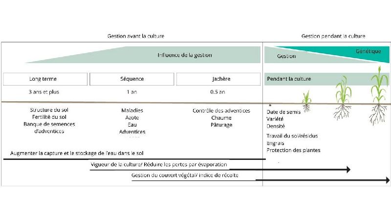 Fichier:Diagramme pratiques de gestion.jpg