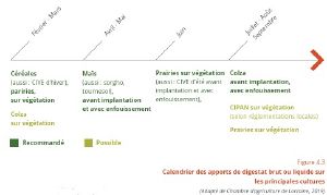 Calendrier des apports de digestat brut ou liquide sur les principales cultures