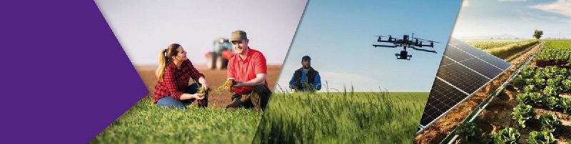 Fichier:Bannière Sia Pro.jpg