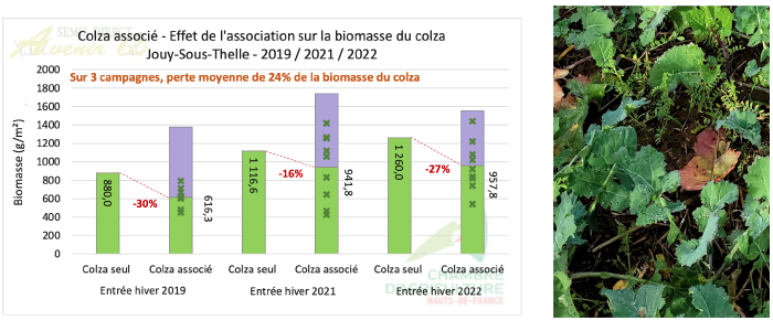 Associations de cultures en Haut de France 7.png