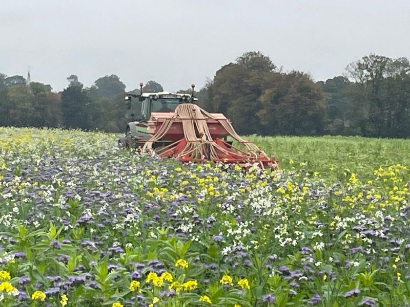 Fichier:Semis direct sous couvert.jpg