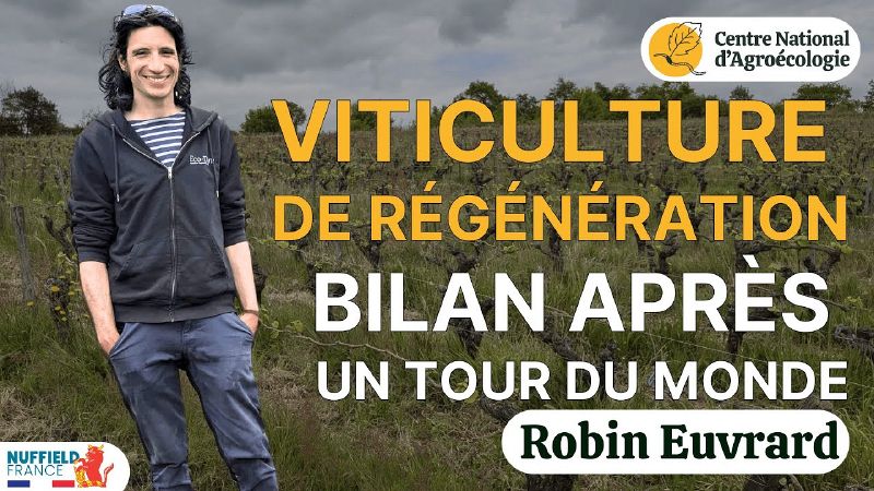 Fichier:Thumbnail youtube Bl656Wf y7s.jpg